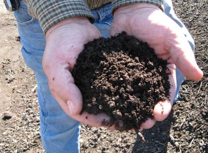 Screened Compost in mans hands