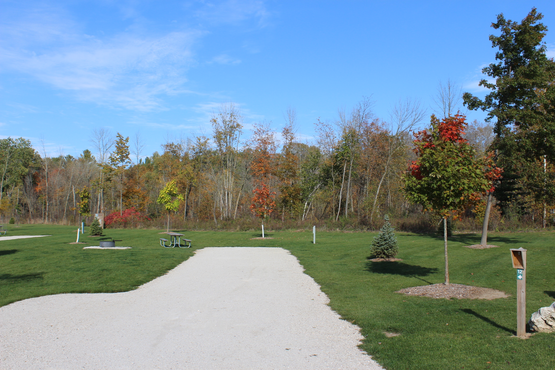 A grassy outdoor campground site with a gravel pad, a picnic table on the lawn next to a fire ring, and mature trees lining the background.