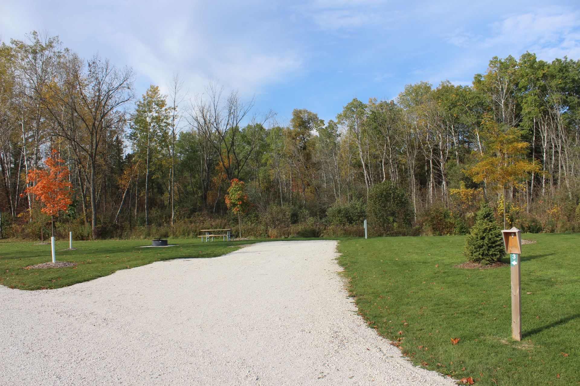 A grassy outdoor campground site with a gravel pad, a picnic table on the lawn next to a fire ring, and mature trees lining the background.