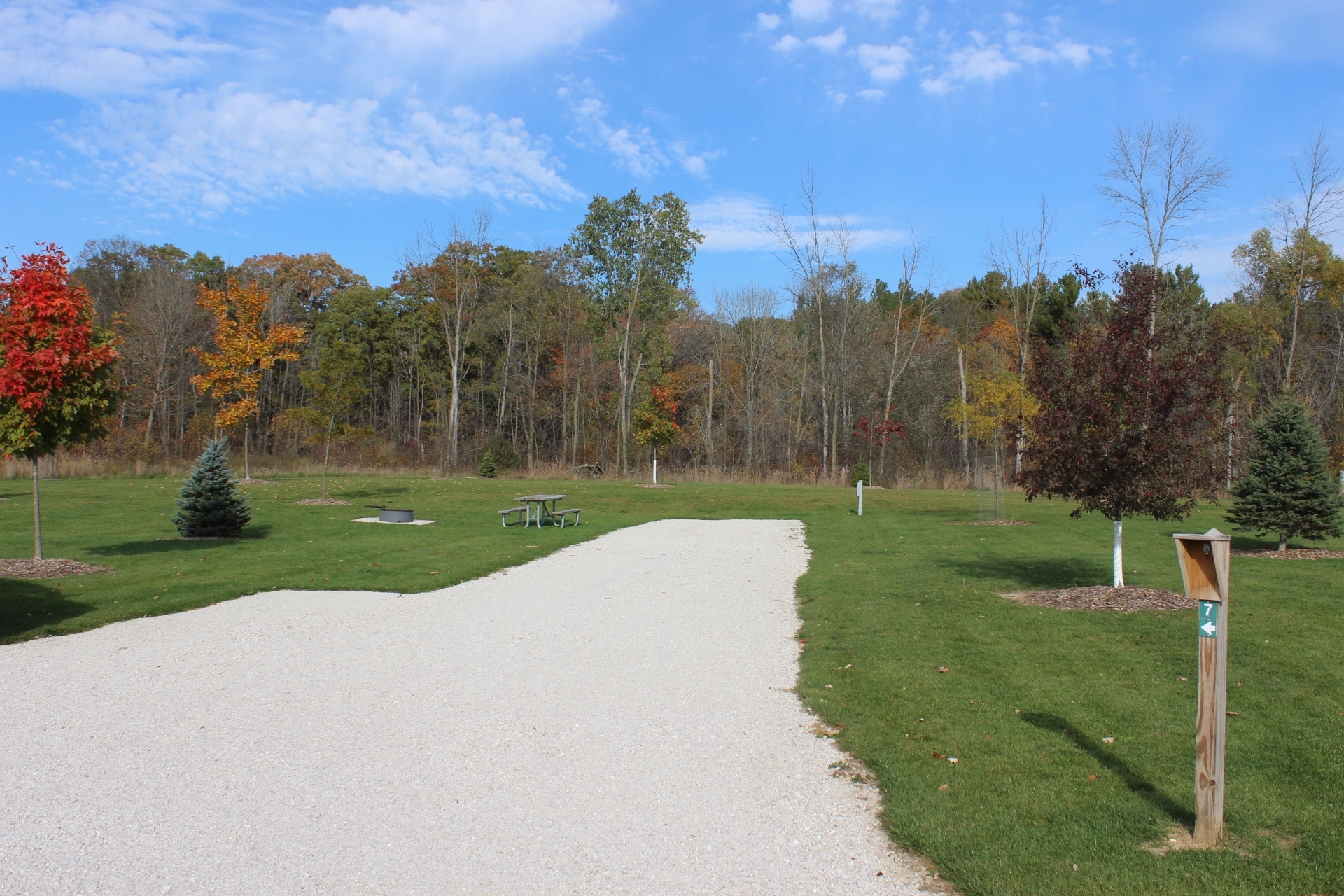 A grassy outdoor campground site with a gravel pad, a picnic table on the lawn next to a fire ring, and mature trees lining the background.